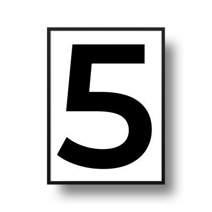 NÚMERO 5